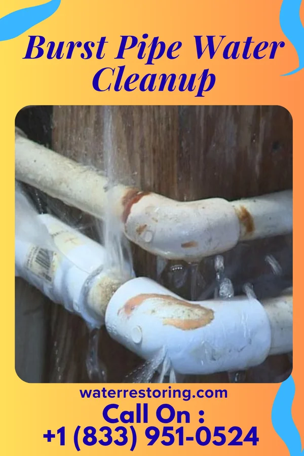 Burst Pipe Water Cleanup in Port Byron, NY