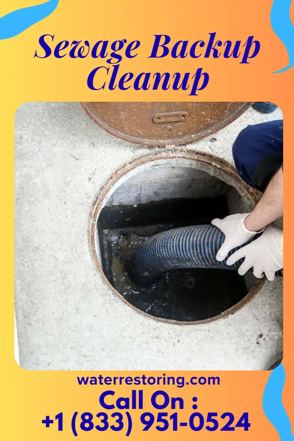 Sewage Backup Cleanup in Port Byron, NY